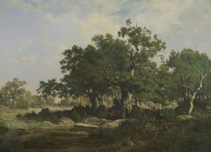 Una radura nella foresta di Fontainebleau